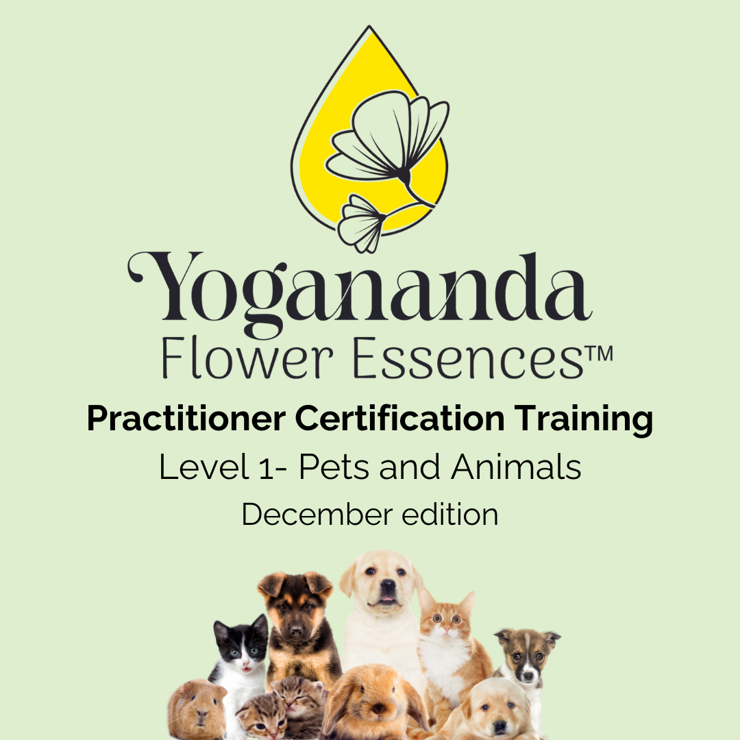 Pets & Animals Practitioner Certification Training for Yogananda Flower Essences - Level I of III