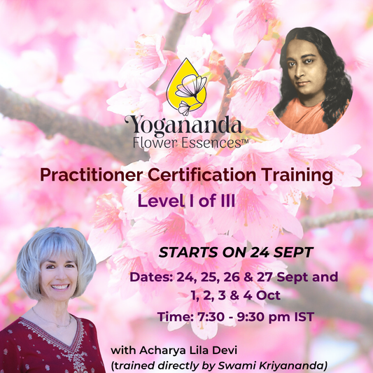 Yogananda Flower Essences Practitioner Certification Training - Level I of III