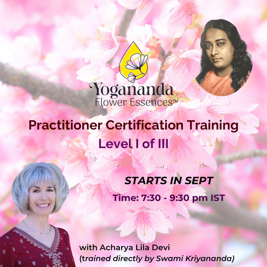 Yogananda Flower Essences Practitioner Certification Training - Level I of III