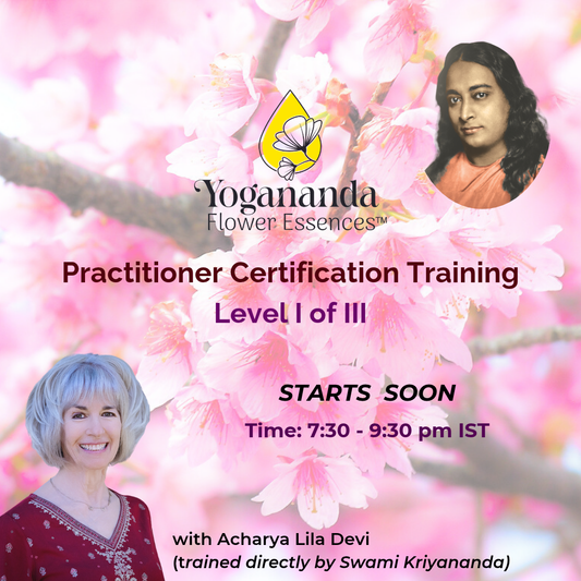 Yogananda Flower Essences Practitioner Certification Training - Level I of III